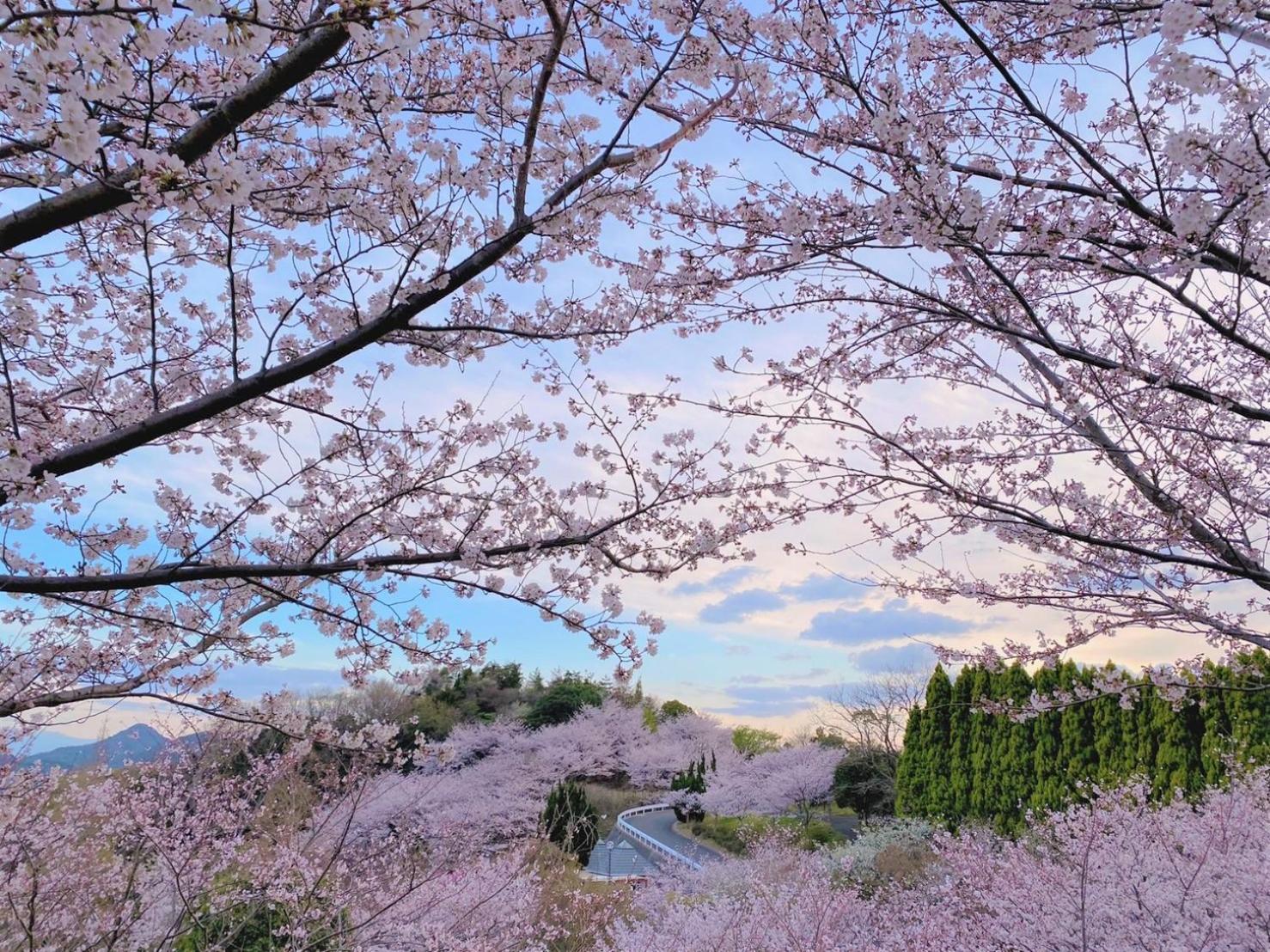 尾道市Lemon Farm Glamping Simanami别墅 外观 照片